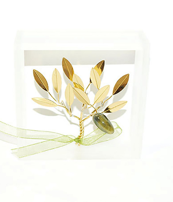 Brass handmade family olive tree in plexiglass frame