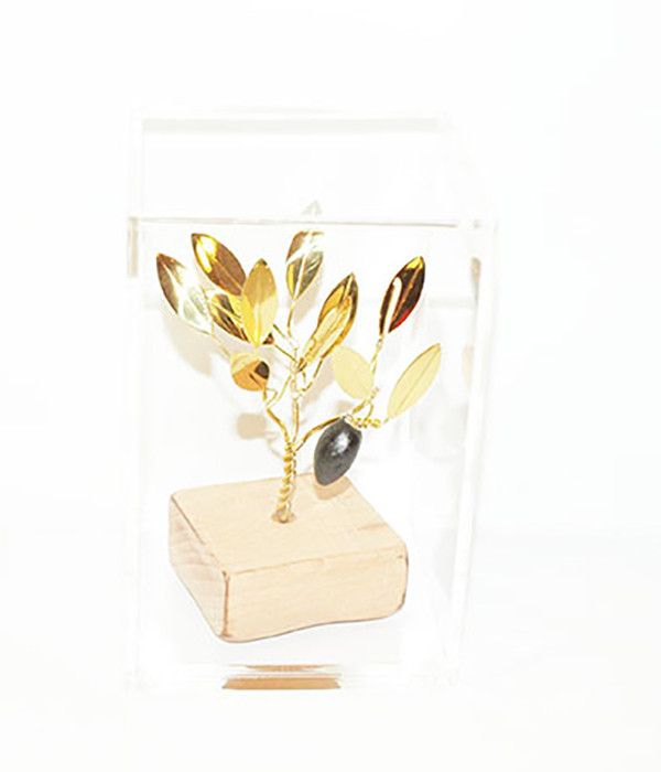 Brass handmade family olive tree in plexiglass